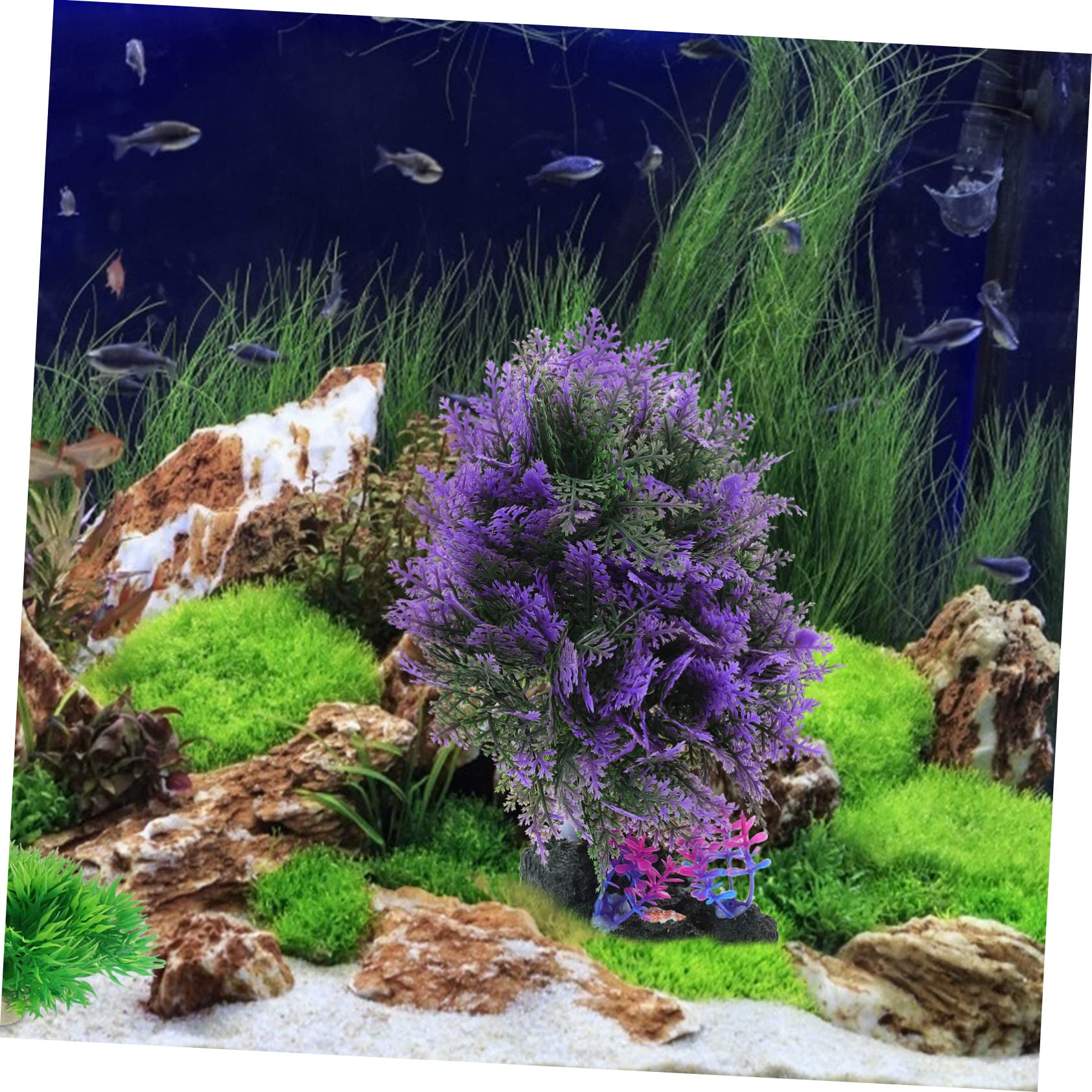 BESPORTBLE 3pièces Ornement Artificiel De Plantes Aquatiques Décoration Naturelle Pour Aquarium Et Fish Tank Accessoire De Paysage Pour Amateurs De Poissons Simulation De Plantes Aquatiques