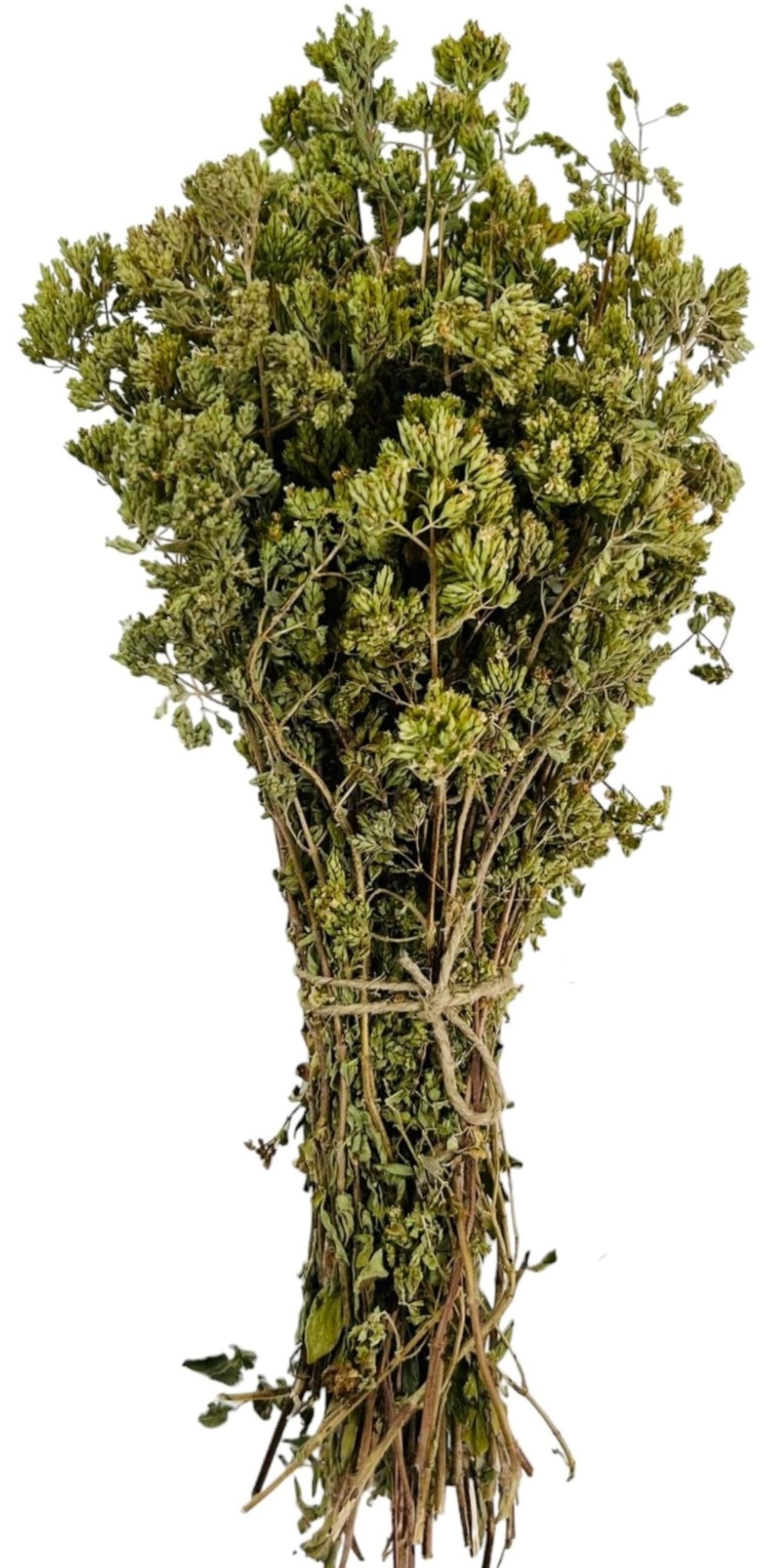 Zertifiziertes Bio Griechisches Getrocknetes Berg Oregano Bündel 85g - 1,95kg Ernte Origanum Vulgare (1950 gramm)