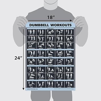 Palace Learning 2 Pack Dumbbell Workouts and Barbell Exercise Poster Set - Laminated 2 Chart Set - Dumbbell Exercise Routine & Barbell Workouts [DARK] (LAMINATED, 18 x 24)