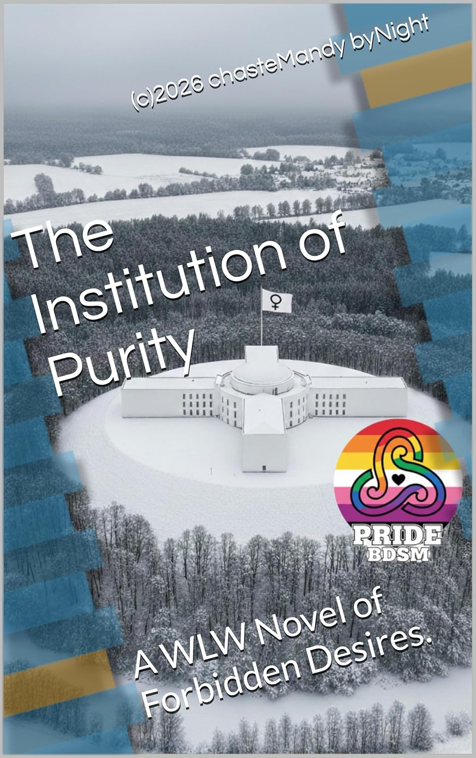 The Institution of Purity: A WLW Novel of Forbidden Desires. (Lesbian literature (wlw - editions)) (German Edition)      Kindle Edition
