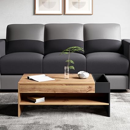 GODREJ INTERIO Coffee Table Arbor Prelaminated Particle Board Coffee Table, 1-Year Warranty, Remini Walnut, Knock Down