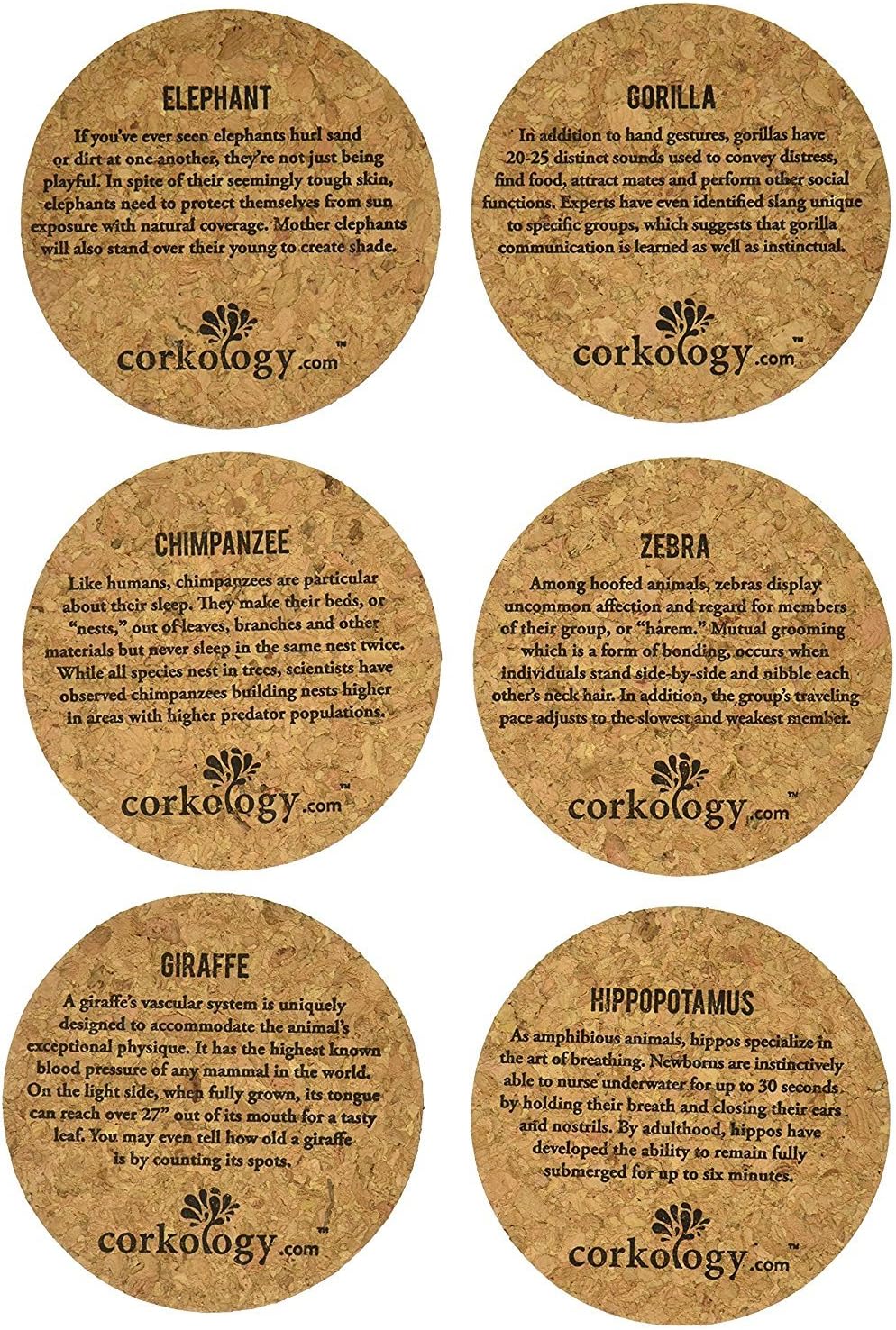 Corkology Safari Cork Coaster Set