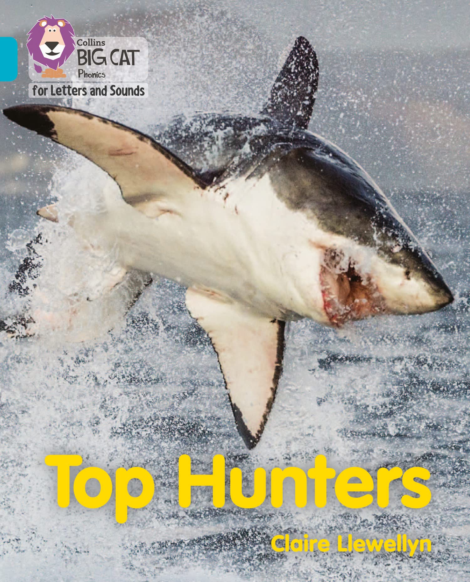Top Hunters: Band 07/Turquoise (Collins Big Cat Phonics for Letters and Sounds)