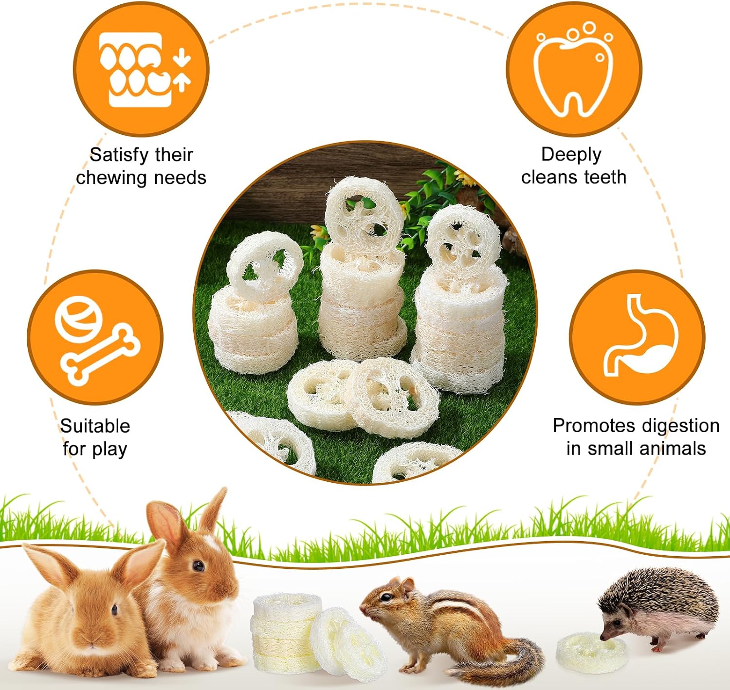 Toddmomy Rabbit Chew Toys 20pcs Loofah Teeth Grinding Toys Small Animal Tooth Cleaning Tools for Guinea Pig Chinchilla Hamster image 4