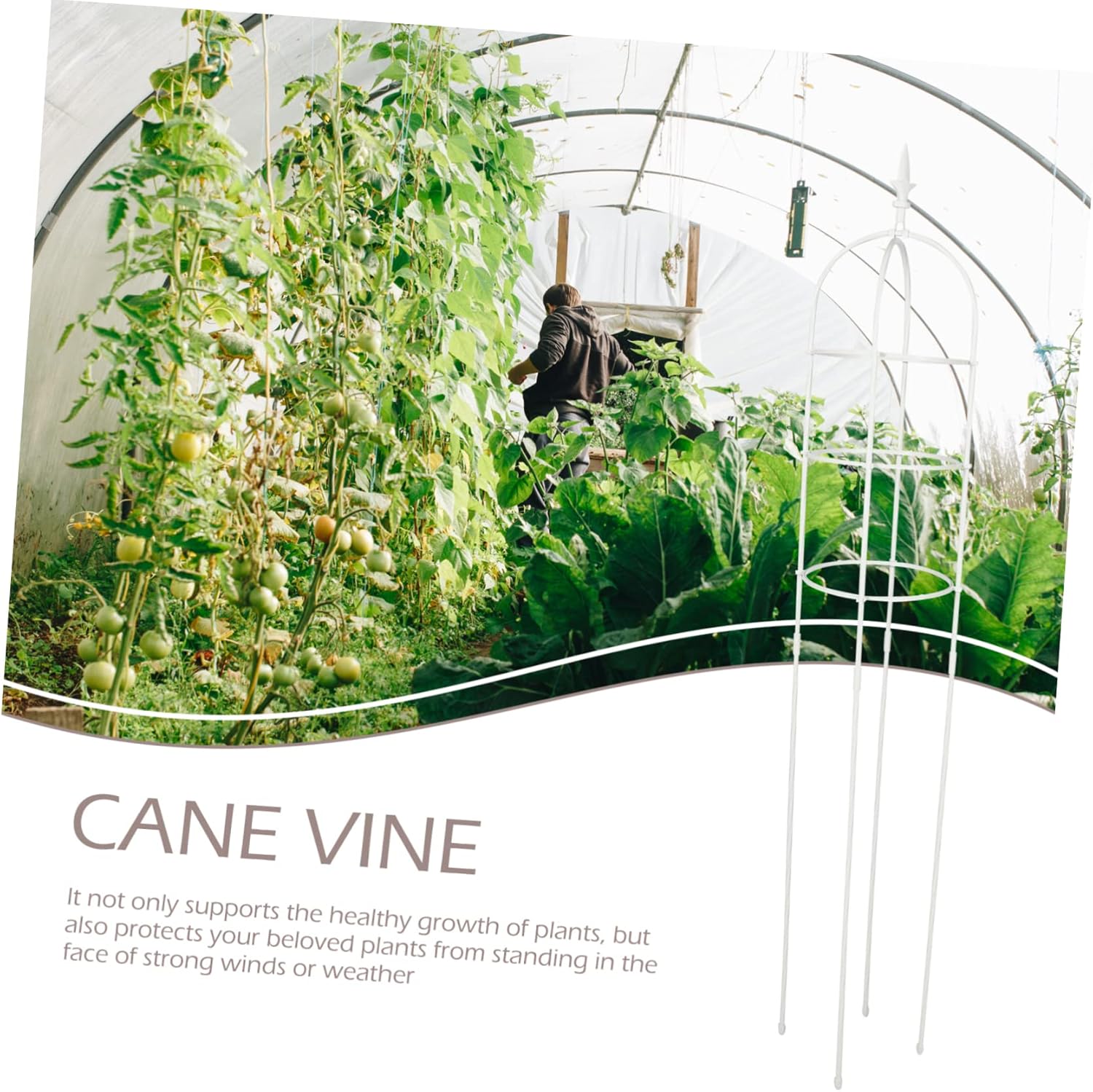 VICASKY Pea Trellis for Garden Metal Plant Support for Climbing Vines Obelisk Trellis Plant Supplies Weatherproof