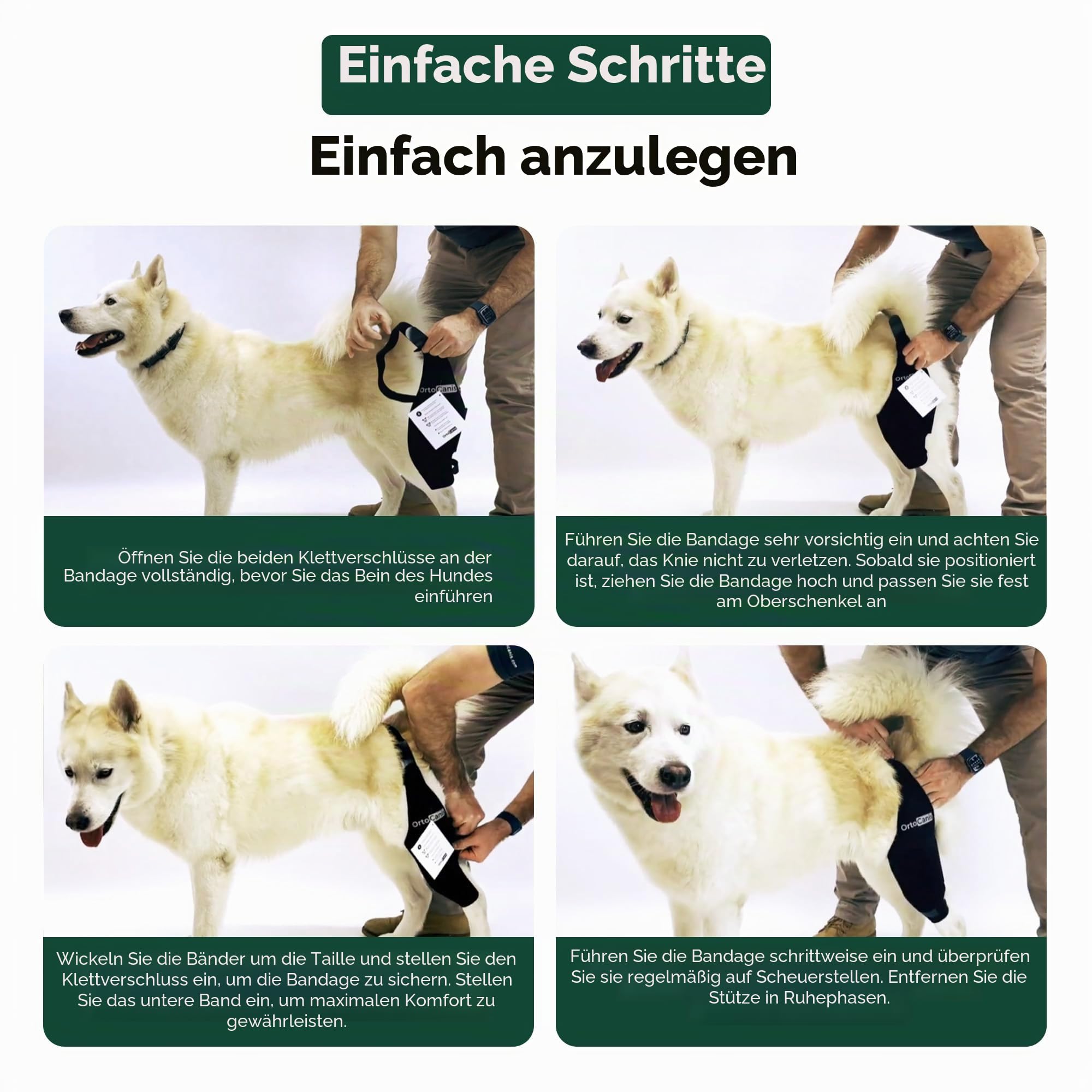 Ortocanis - Kniebandage mit Leckschutz Hund - Knieschiene Rechts Hinterbein - Kreuzbandriss, Kniescheibenluxation und nach Operationen - Speziellem Neopren - Größe: XXS de 20 a 22 cm