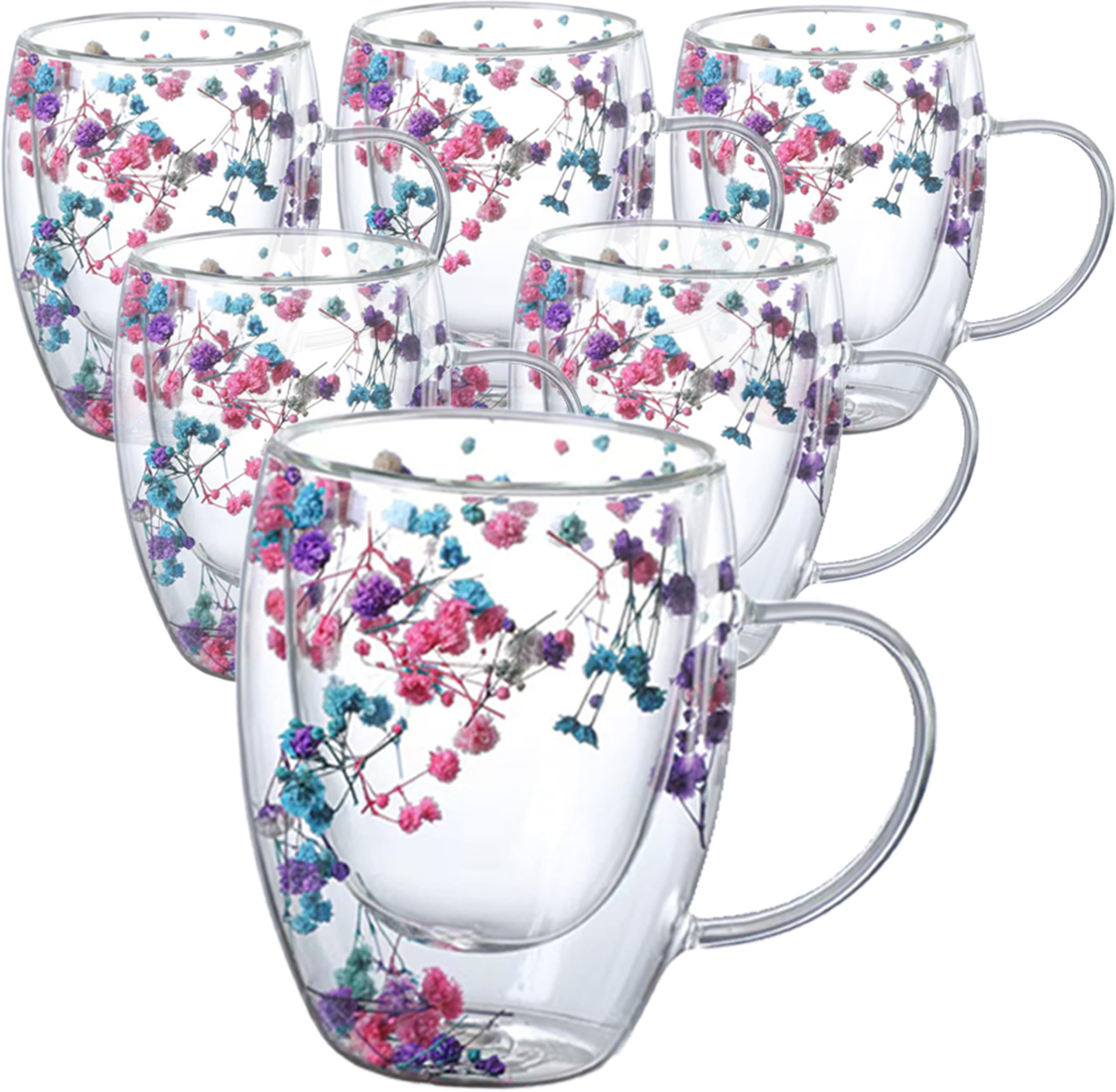 Double Wall Glass Coffee Mugs 350ml with Real Dry Flowers Set of 6, Insulated Flower Glass Mugs, Aesthetic Clear Cups, Unique Gift Box (MULTI-2)