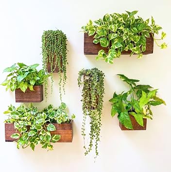 LaLaGreen Wood Planter Box for Plants 6 Pack Wall Planters for Indoor