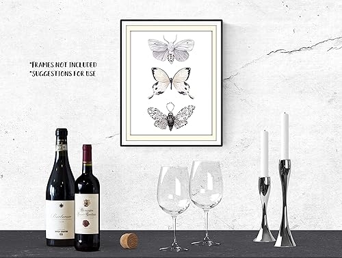 Miniatura 6 de Butterfly Wall Art - Black & White Butterflies Decor - Watercolor Art Print - 11x14  Unframed Poster
