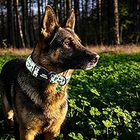 Vista 253 de Unique Style Paws - Collar rosa con hebilla de metal, duradero y lindo para perros pequeños a grandes