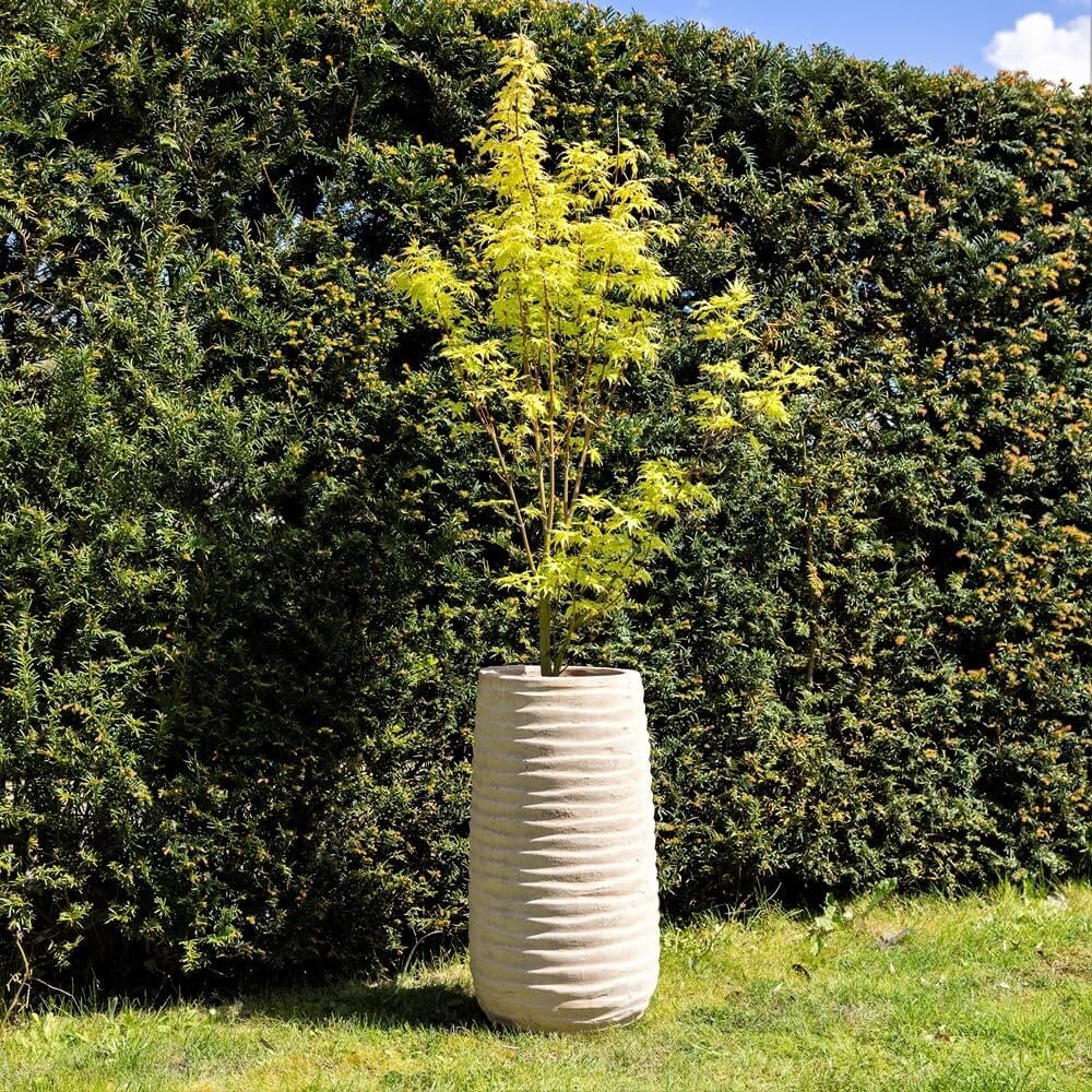 Primrose Terracotta H59cm Tall Round Planter In Cream Garden Patio Flower Pot