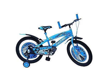 RAW BICYCLES 16T Inch Sports BMX Single Speed Bicycle Cycle for Kids 5 to 8 Years Boys & Girls Tyres with Tubes and Training Side Wheels