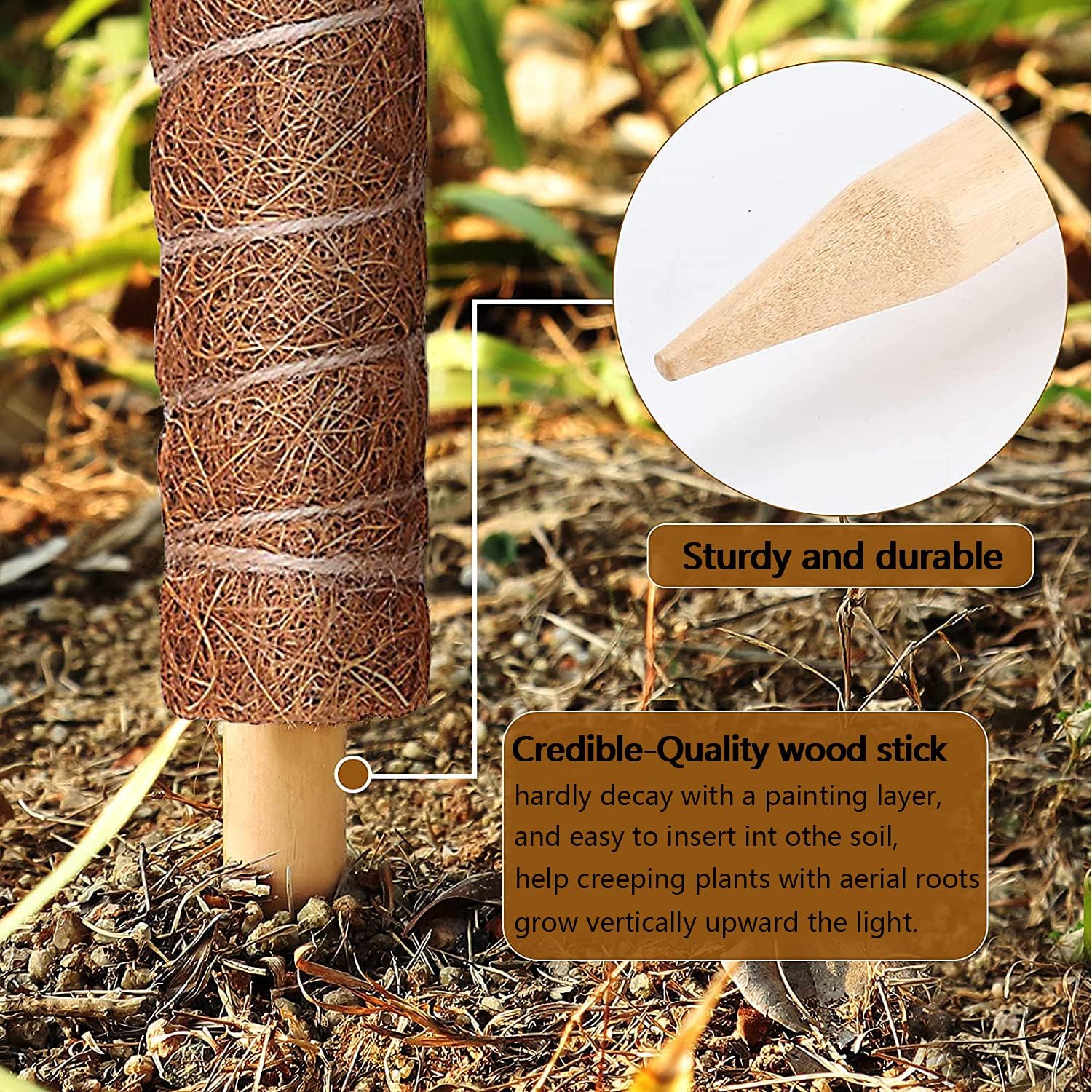 WanLight Moss Pole 6 Pack Pole Wood Moss Stick for Potted Plants Natural Fibre Coir for Green Dill Creepers Scindapsus Plant Pole Moss Stick for Potted Plants-15.9" Height/pcs with 50m Twist Ties