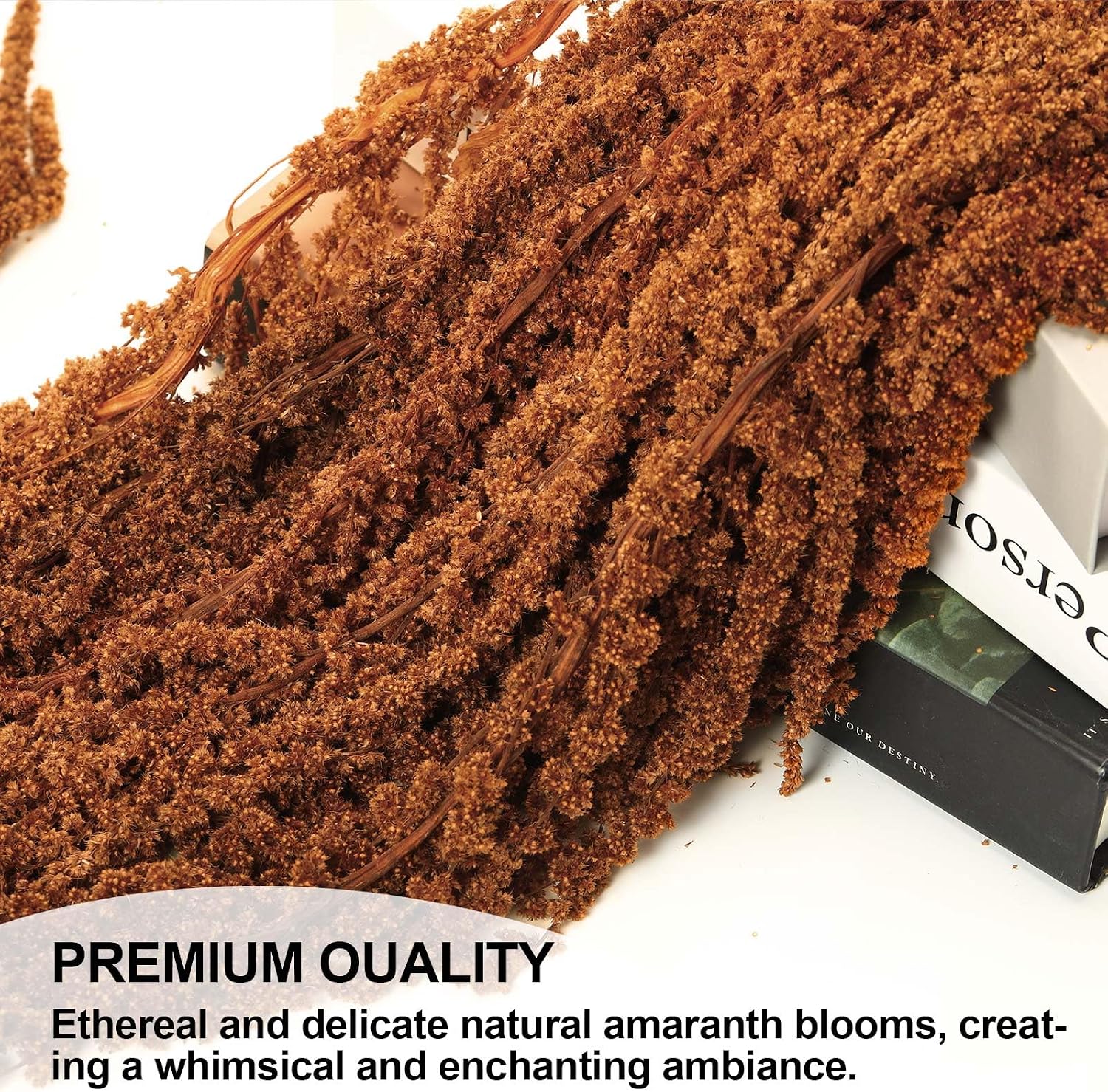 5Pcs Dried Amaranthus Hanging Flowers, Natural Preserved Flower for Wedding Arch, Exhibition, Wall Hanging Lover Tears, Floral Arrangement, Home Decor (Brown, 24")