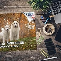 Vista 1363 de Razas de Perros 2017