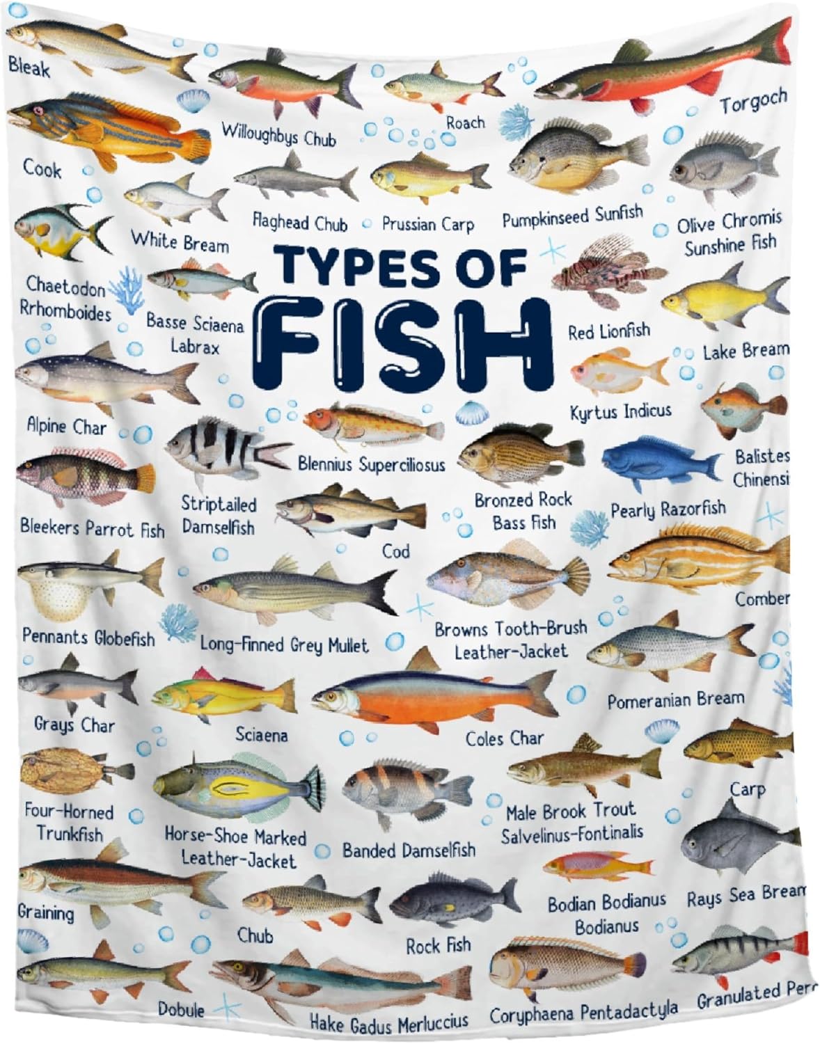 Fish Throw Blanket,Types of Fish Blanket Fishes Blanket Gifts,Ultra Soft Lightweight Flannel Blankets Warm Fuzzy Cozy Plush Blankets for Couch Sofa Bed Living Room,Kids Size-40"x50"