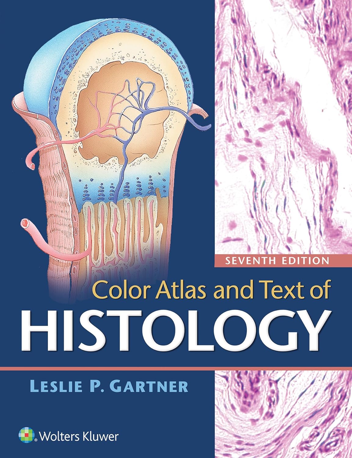 COLOR ATLAS AND TEXT OF HISTOLOGY 7ED (PB 2018) 