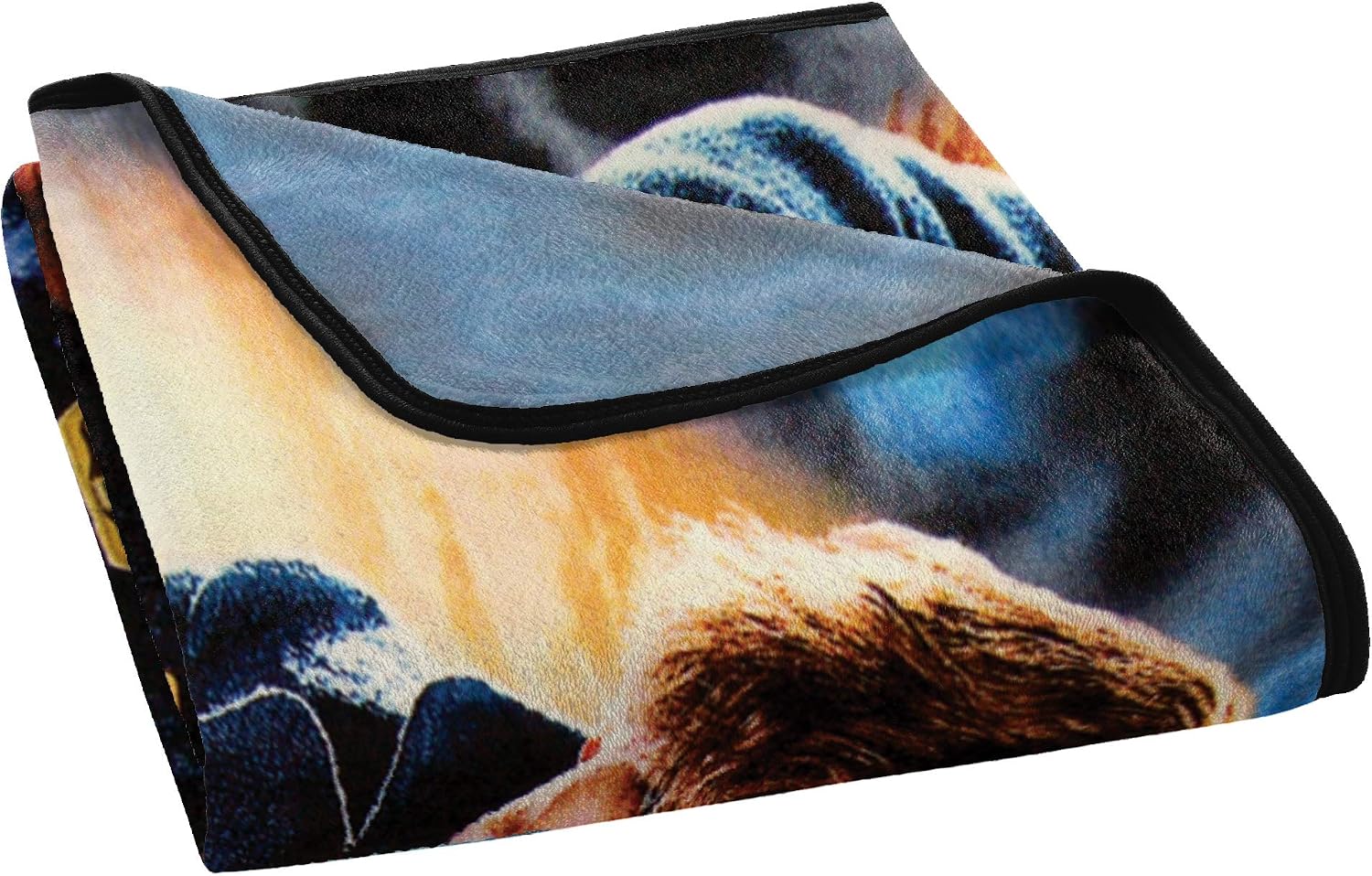Northwest Harry Potter - Fantastic Beasts Micro Raschel Throw Blanket, 46" x 60", Smoke image 2