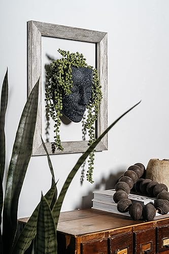 Miniatura 2 de Macetero de pared | Macetas únicas para la cara, regalos de plantas para amantes de las plantas de interior, ideas de regalo de plantas suculentas,