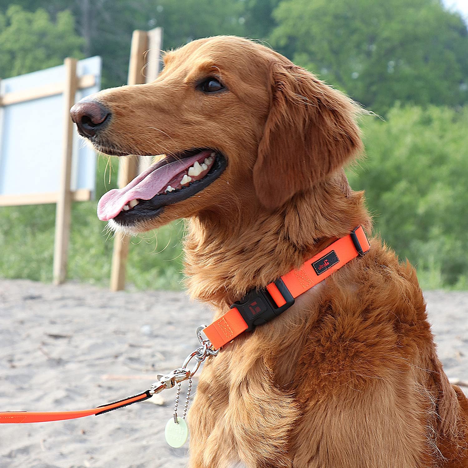 Ultrahund Adjustable Collar, Large/16 to 22", Orange