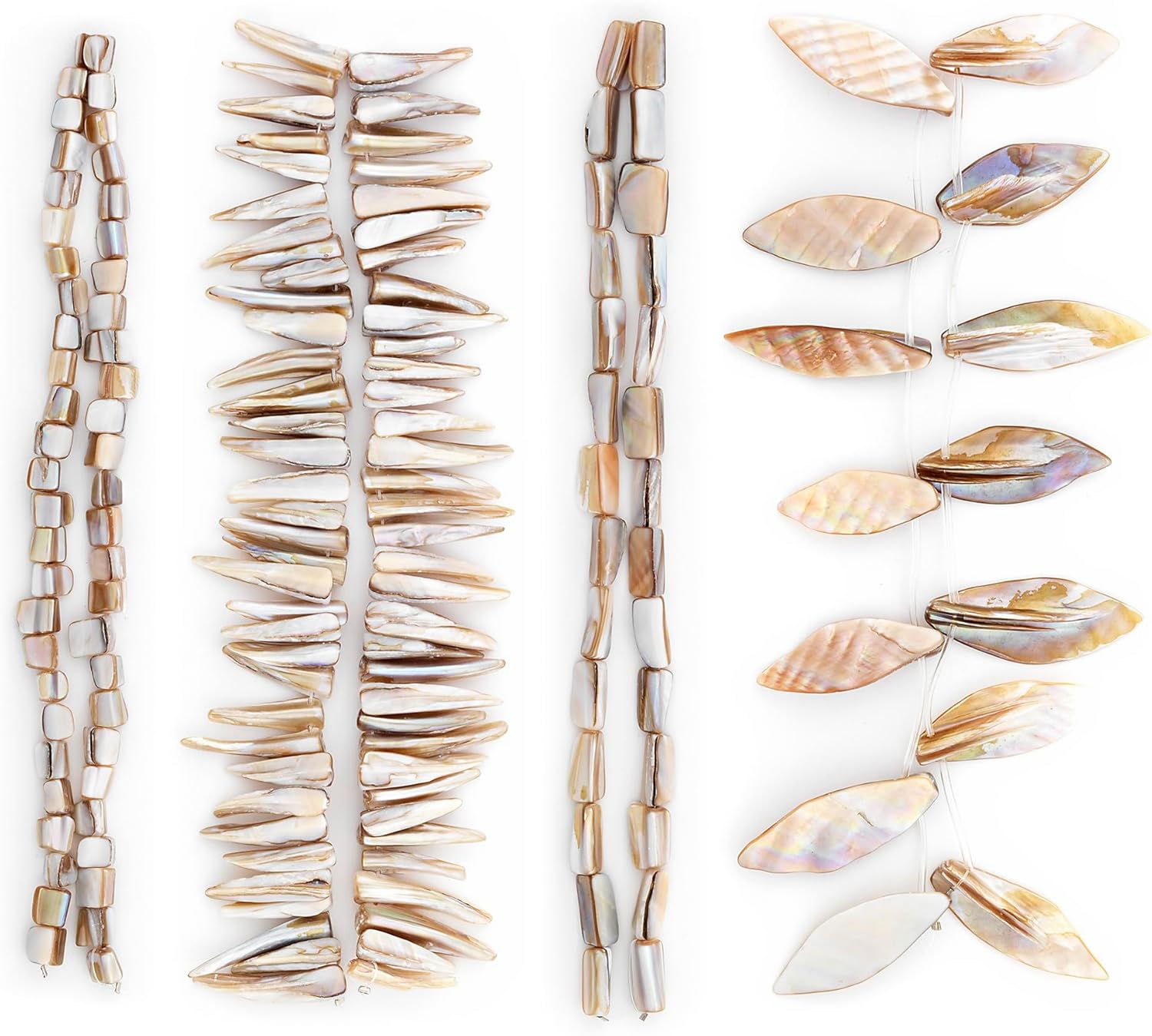 Amazon.com: Expo International Magnolia Sea Shell Collection Value Pack ...