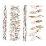Expo International Magnolia Sea Shell Collection Value Pack Beads, Natural