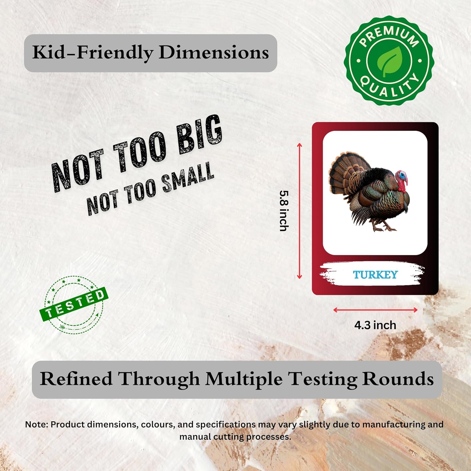 Birds Flashcards – Art Board Learning Cards for Toddlers, Preschool & Kindergarten, Double-Sided Set