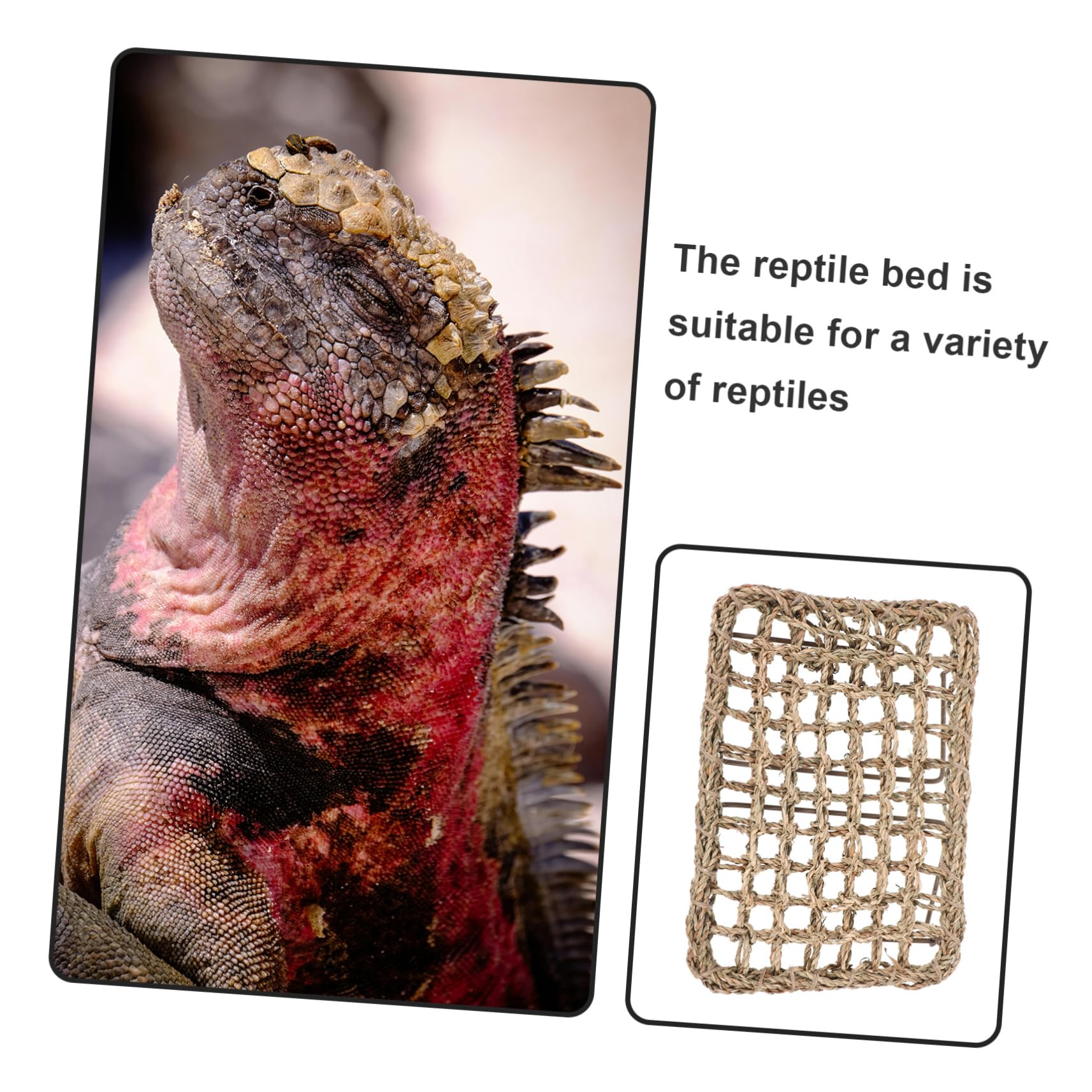 Angoily Reptilienbed Lizard Lounger Mit Stabilem Eisenrahmen Gewebte Strohmatte Schlafplatz Für Eidechsen Und Bartagamen Vielseitiges Haustierzubehör