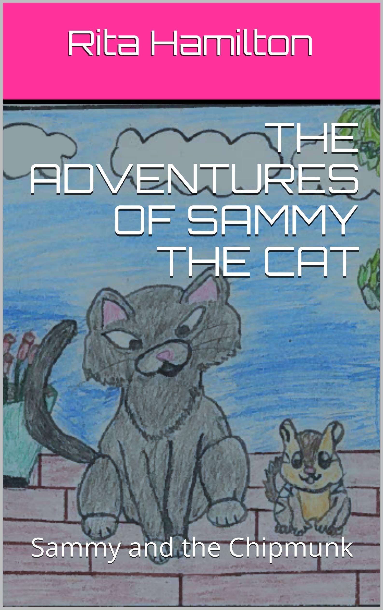 The Adventures of Sammy the Cat: Sammy and the Chipmunk