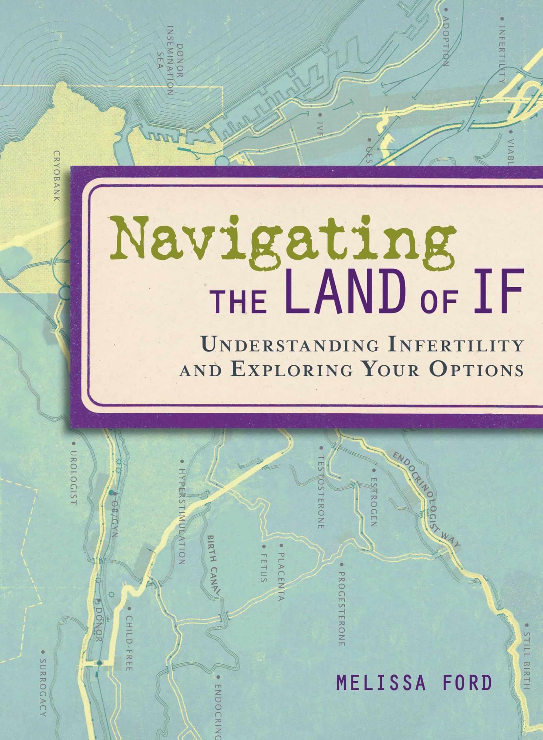 Buy Navigating The Land Of If — BookShops.in