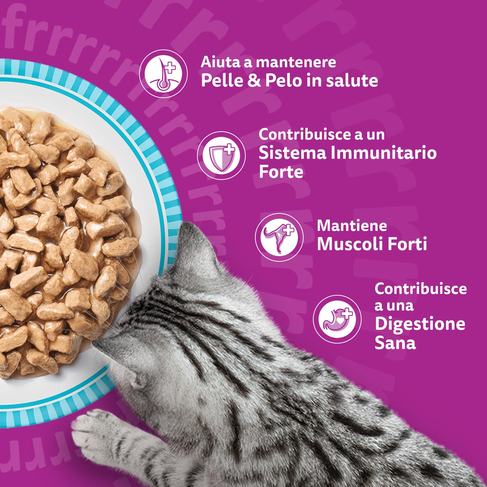 Whiskas Pranzetti Selezione di Pesce 1+ Adulto, Cibo Umido per Gatto, 12 Confezioni ognuna da 6 bustine x 50g (72 Pezzi in Totale)