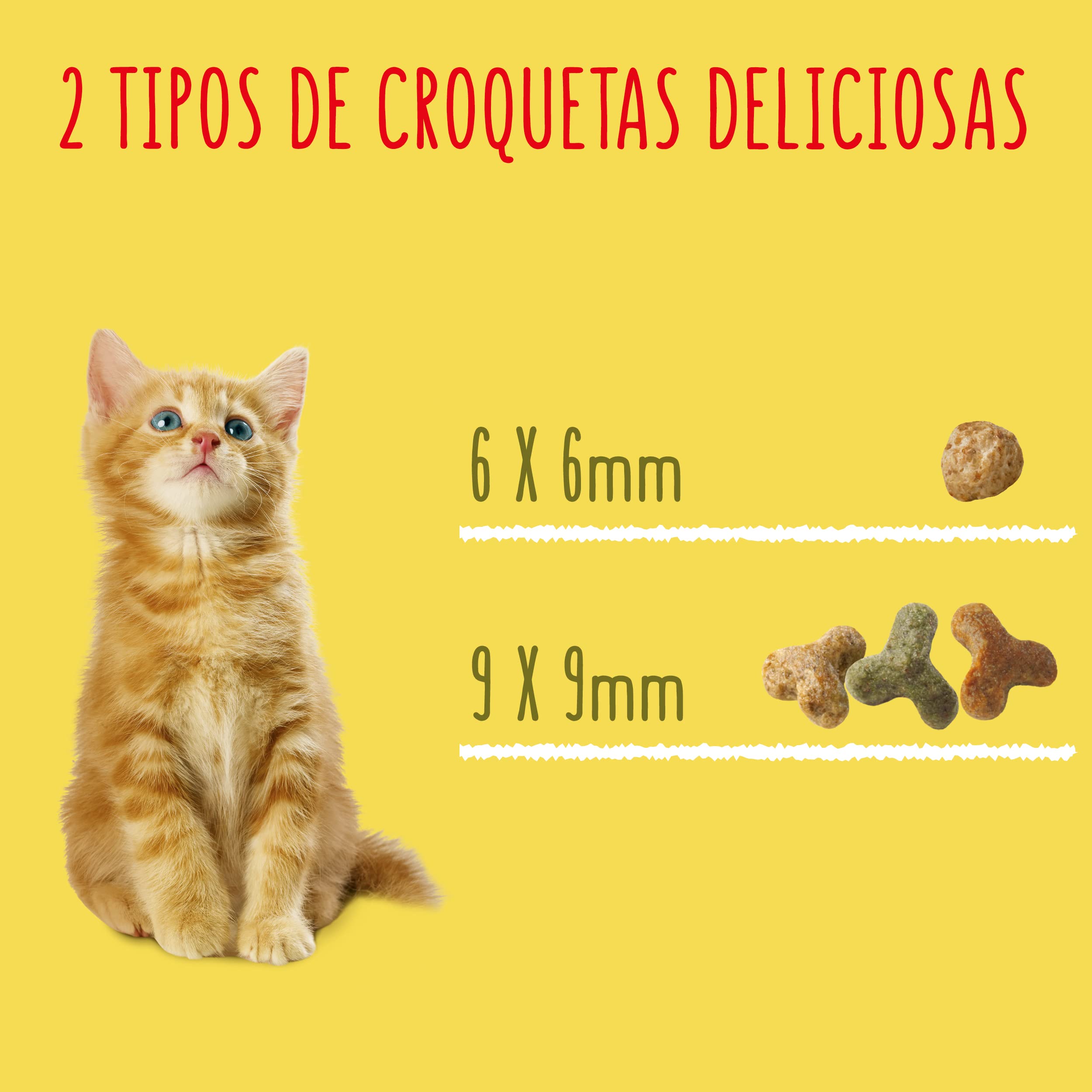 Purina Friskies Mangime per gattino, Junior, Bambino, fino a 1 anno con Pollo, Tacchino e Verdure, 6 sacchetti da 1,5 kg