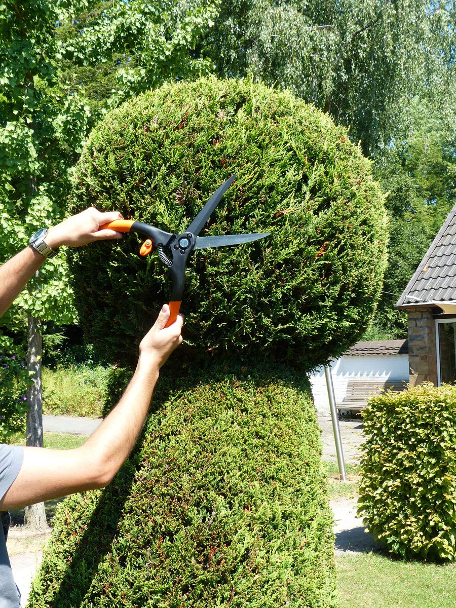 Garten Primus Gartenschere, Grasschere, Rasenschere, Buchsbaumschere, groß, schwarz/orange, 28 x 4,9 x 4 cm, 01210