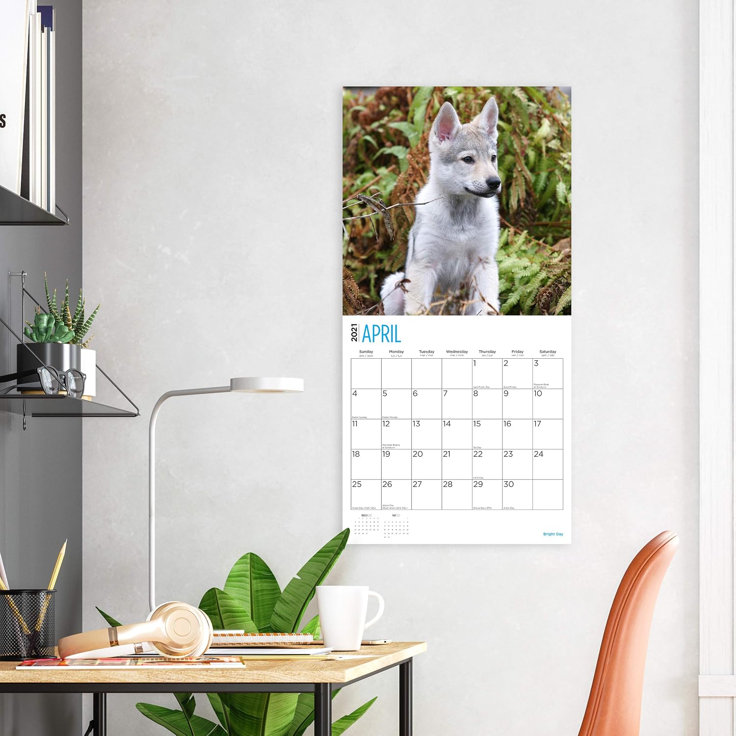 2021 Wolf Pups Wall Calendar by Bright Day, 12 x 12 Inch, Cute Wild Ainimals Wolves