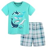Bumeex Toddler Boy Clothes 100% Cotton Jersey Short Sleeve T-Shirt and Short Clothing Set with Pockets Outfits 2-7T