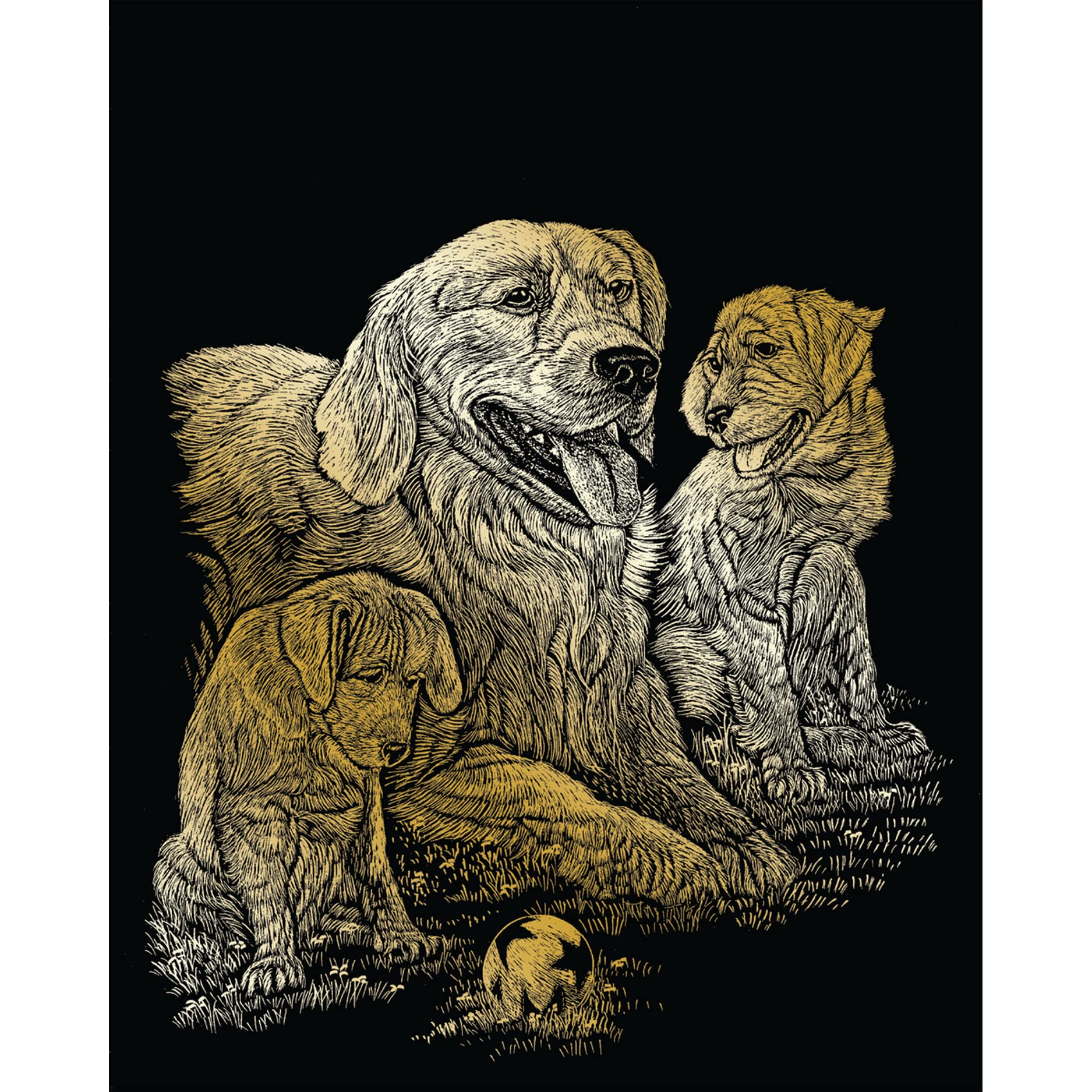 Pracht Creatives Hobby Royal & Langnickel Golden Retriever Gold Scratch Pictures for Children and Adults with Scratch Pen and Template