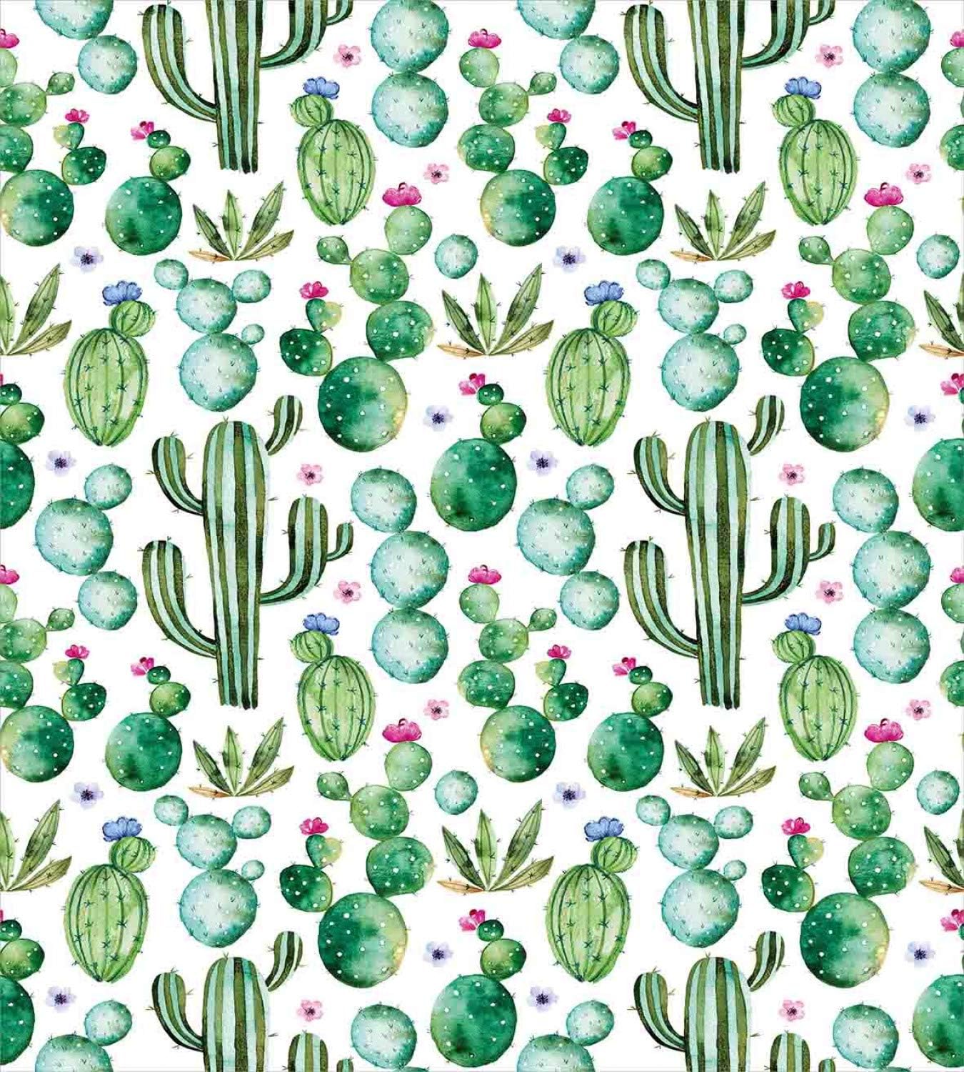 Ambesonne Green Duvet Cover Set, Mexican Texas Cactus Plants Spikes Cartoon Like Print, Decorative 3 Piece Bedding Set with 2 Pillow Shams, Queen Size, Lime Green Pale Pink