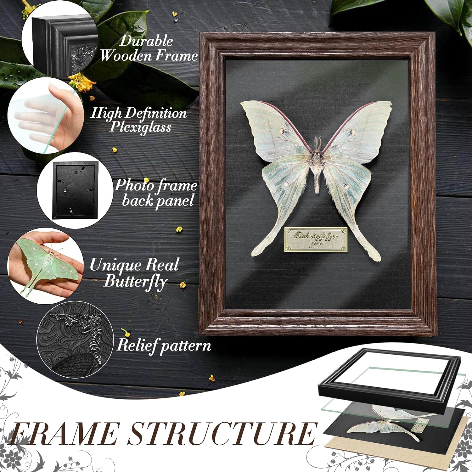 Real Butterfly Taxidermy Framed Handmade, 6.9'' x 9'' Butterfly Shadow Box Wooden Framed for Gothic Home Decor Taxidermy Specimen Display for Wall Art Oddity Tabletop, Actias Selene