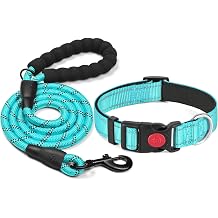 Haapaw Reflective dog collar padded with soft neoprene breathable adjustable nylon dog collars for small medium large dogs