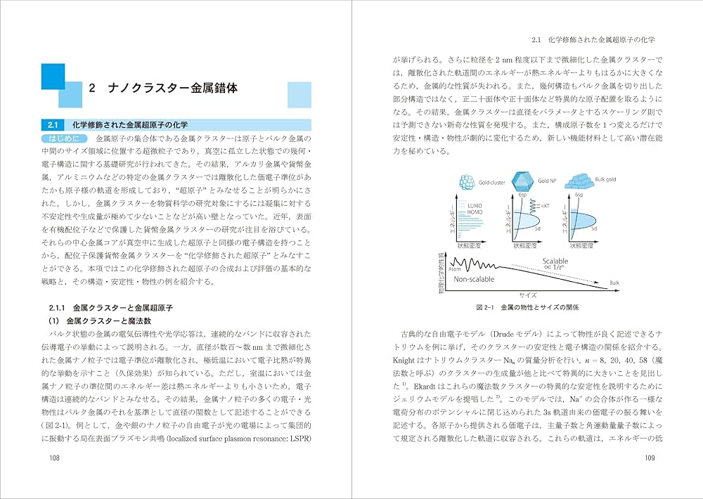 フロンティアナノ金属錯体化学 (錯体化学会フロンティア選書) フロンティア・ナノ金属錯体化学｜三共出版株式会社