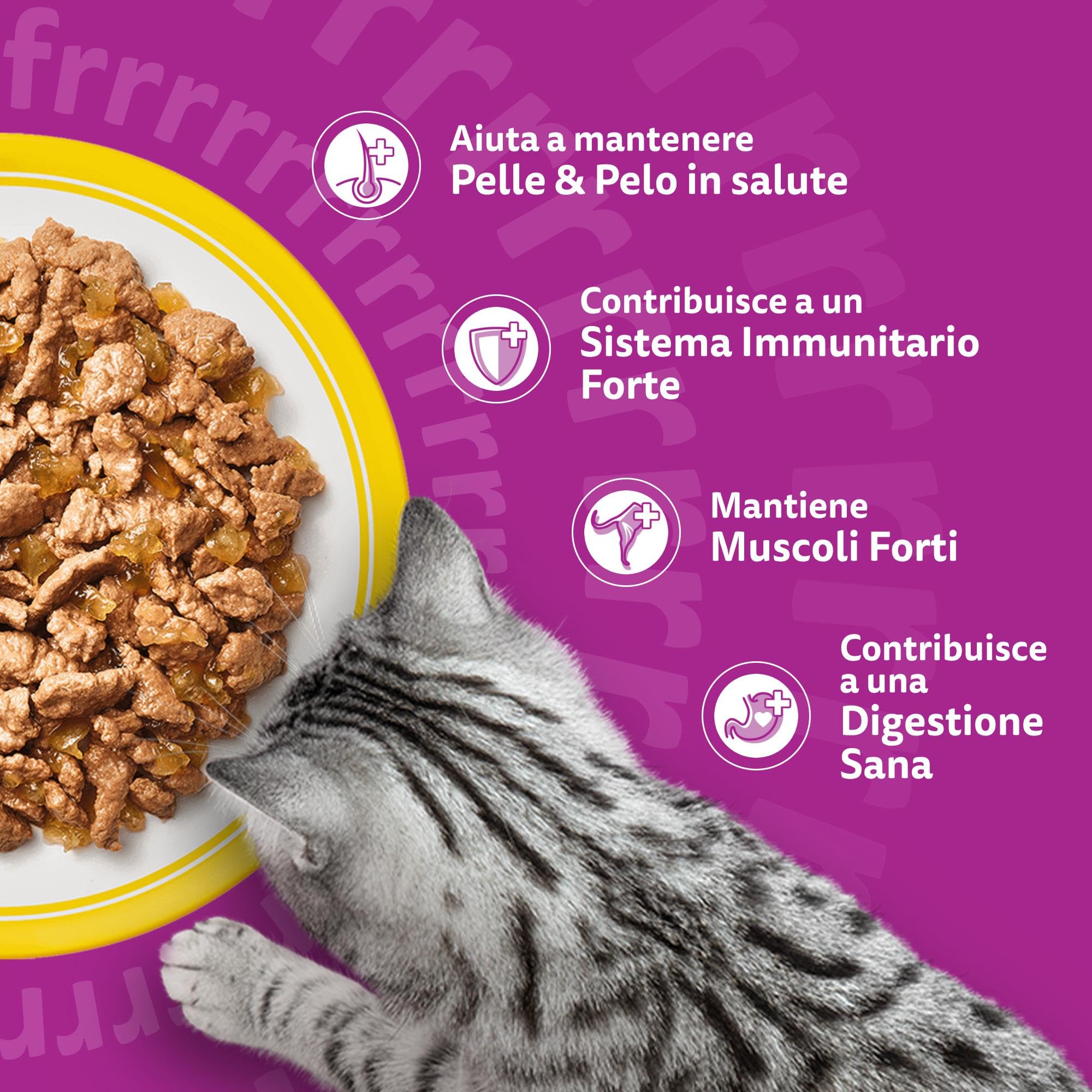 WHISKAS Cibo Umido in Gelatina per Gatti Adulti 120x85g Selezione Delicata