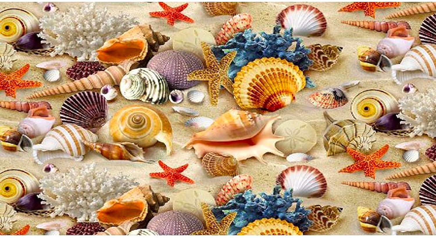 CafePress Seashell License Plate Holder Aluminum License Plate Frame, License Tag Holder