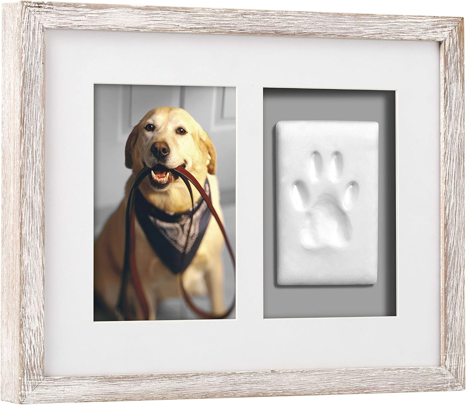 Pearhead Pet Pawprints Wall Picture Frame and Clay Impression Kit, Clay Paw Print Making Kit, Pet Memorial Keepsake Photo Frame, Pet Owner Gifts, Wall Decor, Distressed White