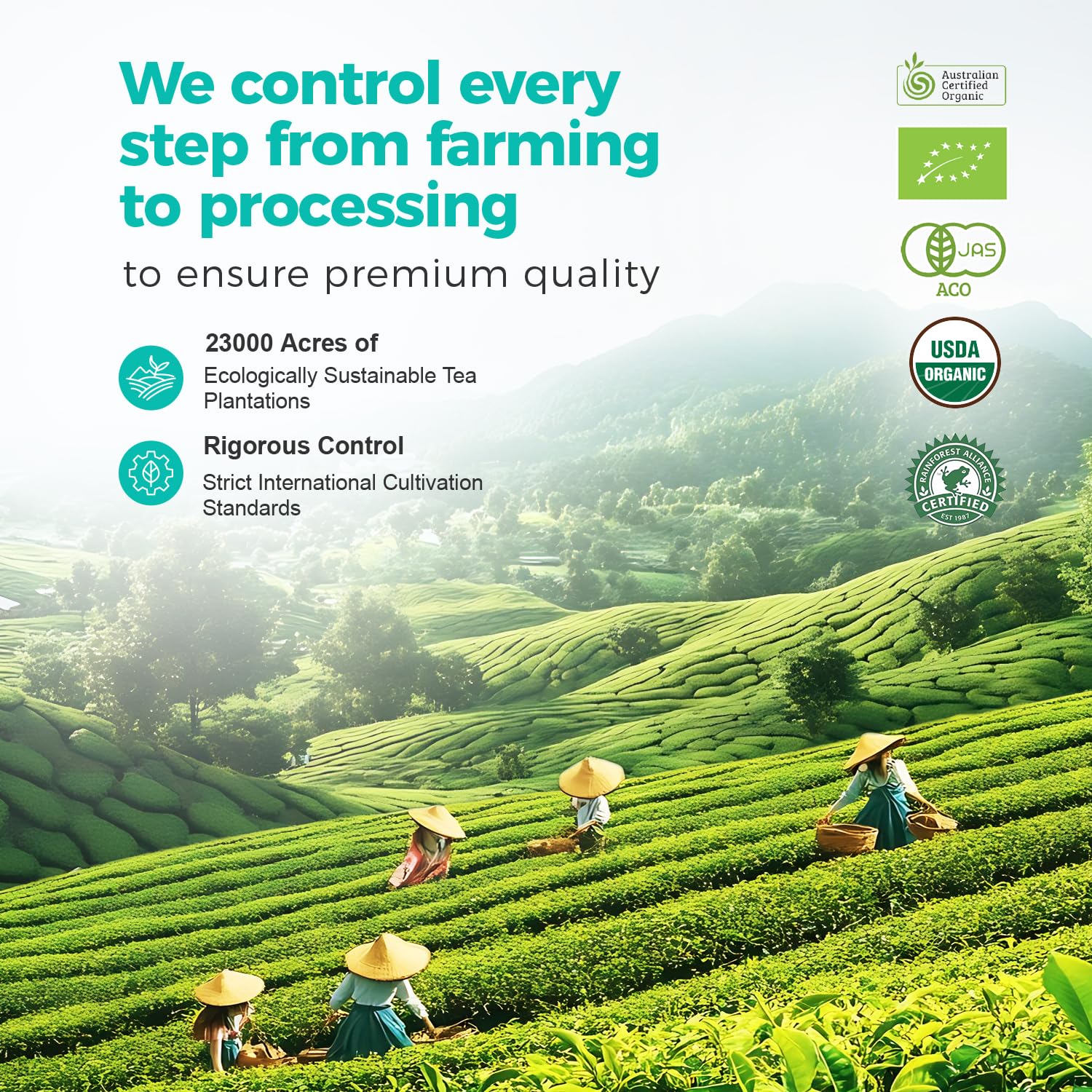 Emerail Organic Matcha Powder USDA-Certified Pure Matcha Green Tea Powder Premium Culinary Grade Perfect for Lattes Smoothies and — view 5