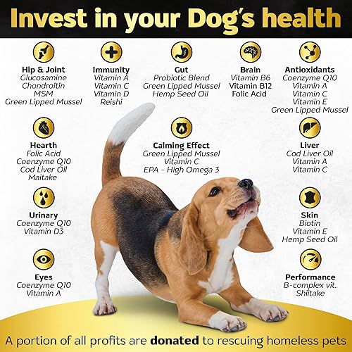 Miniatura 2 de Soft Chews - Vitaminas y suplementos para perros, multivitamínico para perros, aceite de cáñamo, glucosamina, condroitina, apoyo para la salud de la