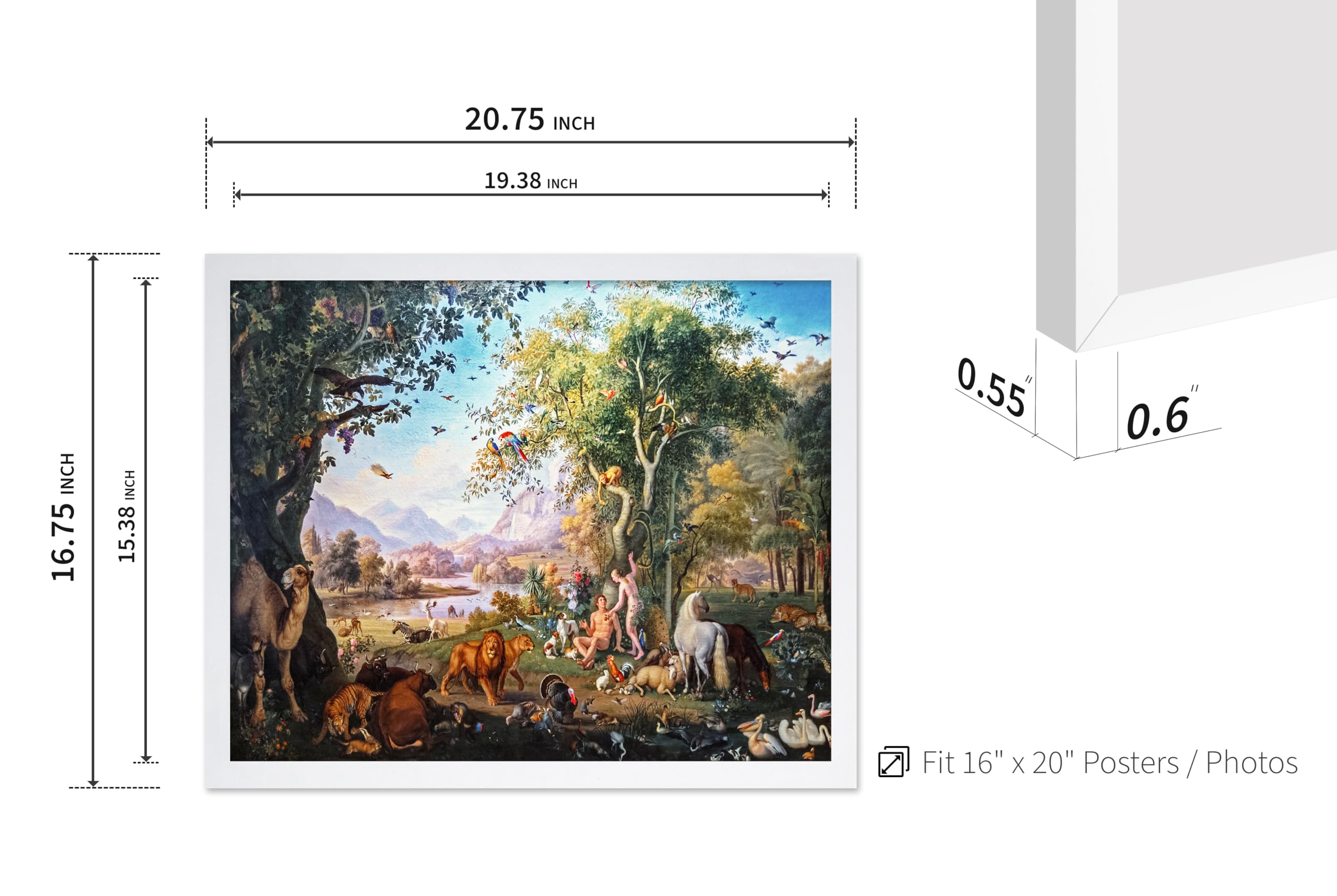 Amazon.co.jp: ポスター マスター アダムとイブ in the Garden