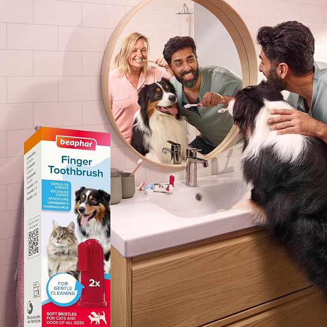 Foto 7 de 7 de Beaphar Cepillo Dental de Dedo para Perros y Gatos -Limpieza Suave y eficaz - 2 Unidades
