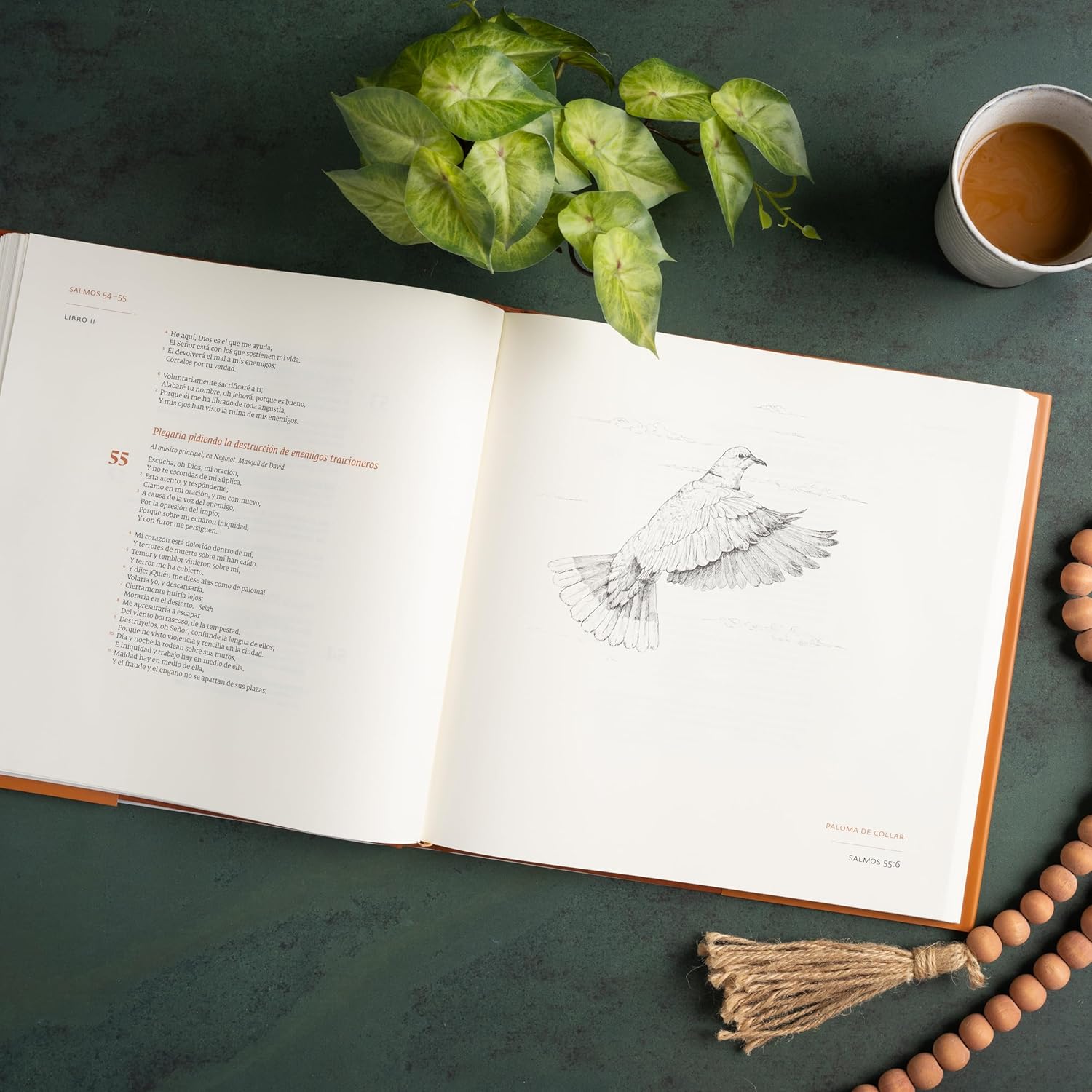 RVR 1960 Libro de Salmos Edición Ilustrada (RVR 1960 Book of Psalms Illustrated Edition) (Spanish Edition)      Hardcover – February 1, 2026