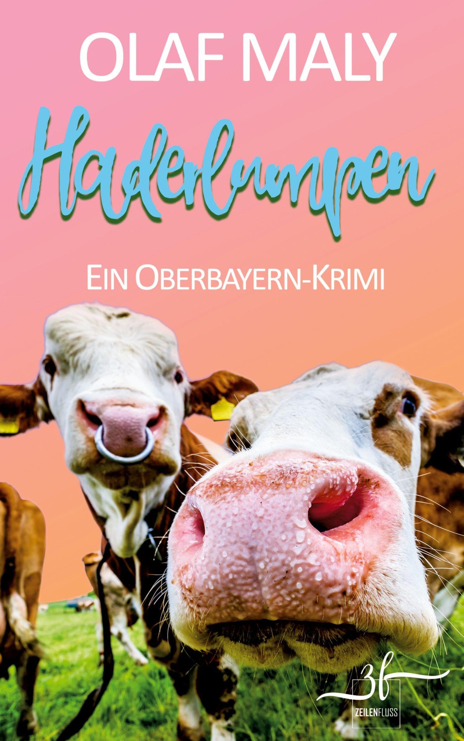 Haderlumpen: Humorvoller Bayern-Krimi - Cosy Crime vom Feinsten (Bernrieder ermittelt)