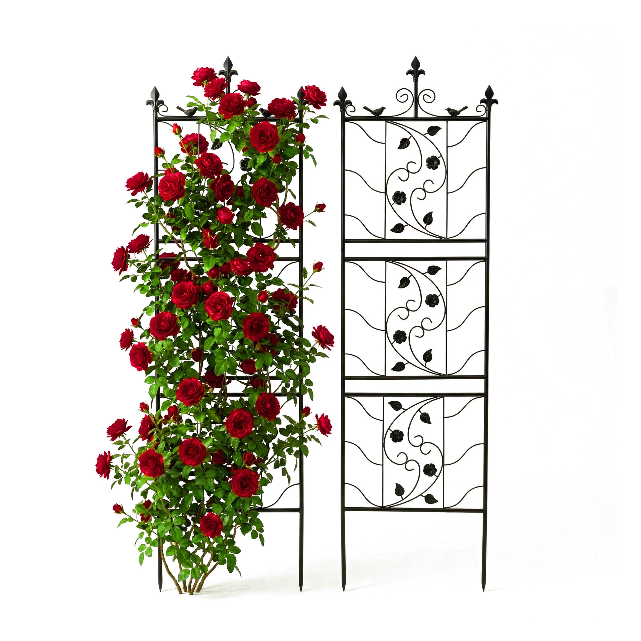 Relaxdays Rejillas para Enredaderas, Soporte metálico 172x50 cm, para Plantas trepadoras y Rosales, Negro